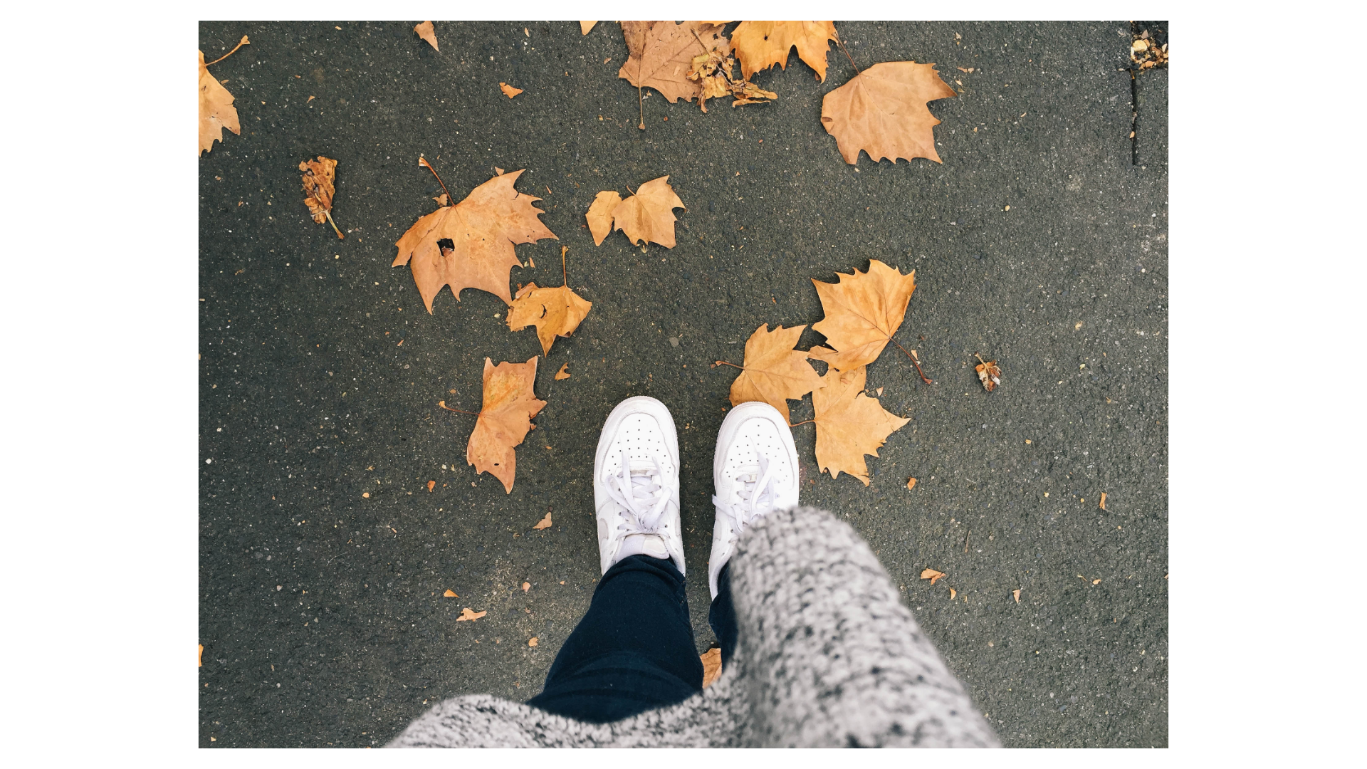 家づくりの相談